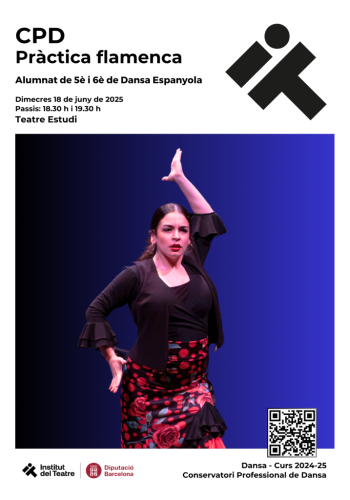 Pràctica flamenca