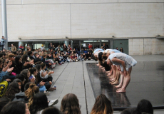 Celebració del DID el 2019 a l'atri.