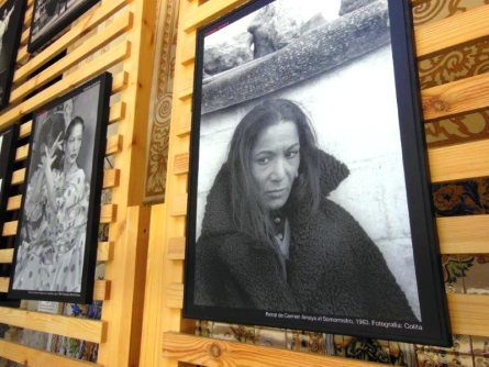 Expo carmen amaya al cerc 3