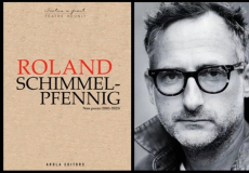 "Nou peces (2001-2023)" del dramaturg alemany Roland Schimmelpfennig