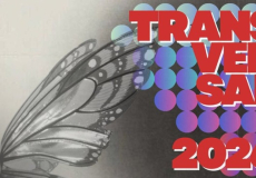 Transversal, imatge de l'edició 2026