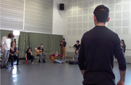 Projecte investigació del flamenc 2018