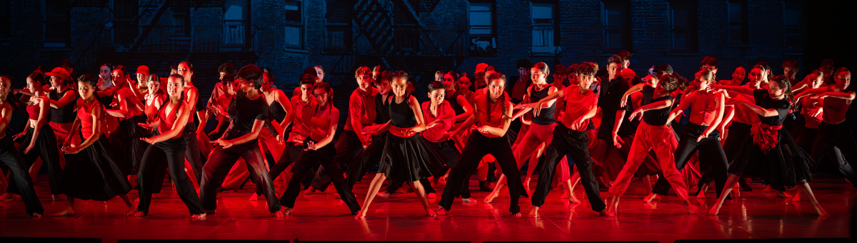 Capçalera Dansa en Xarxa inici 2026